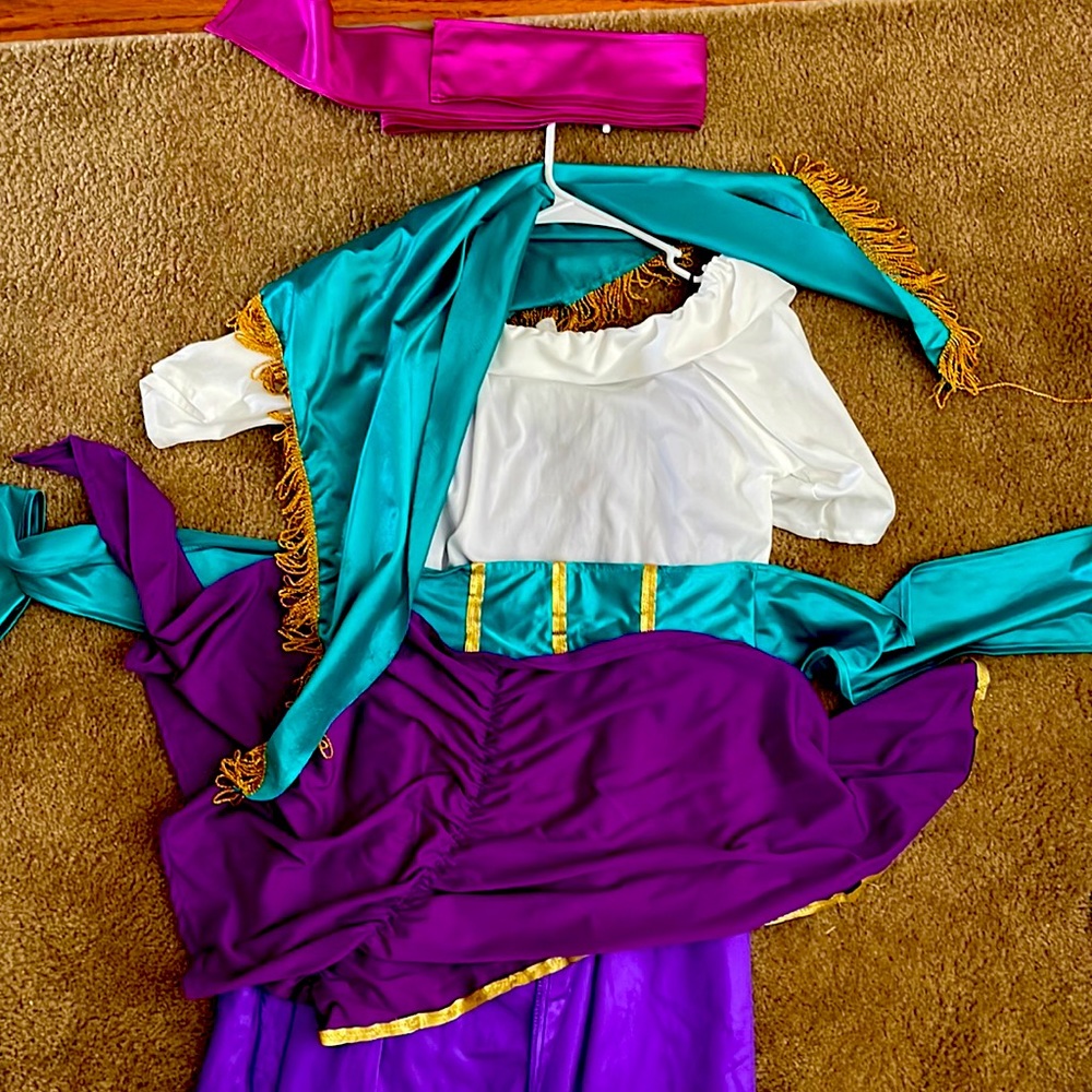 Halloween womens gypsy/fortune teller costume size medium